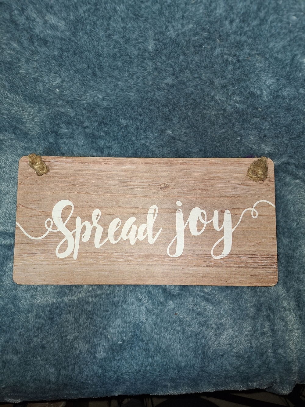 Spread Joy Wooden Hanging Sign - White Script